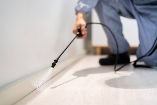 Licensed Pest Control service in Spiro, OK - Show Me Pest Control
