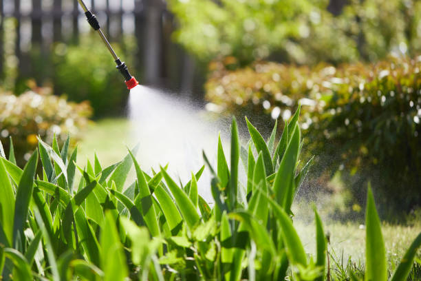 24/7 Emergency Mosquito Control experts in Spiro, OK